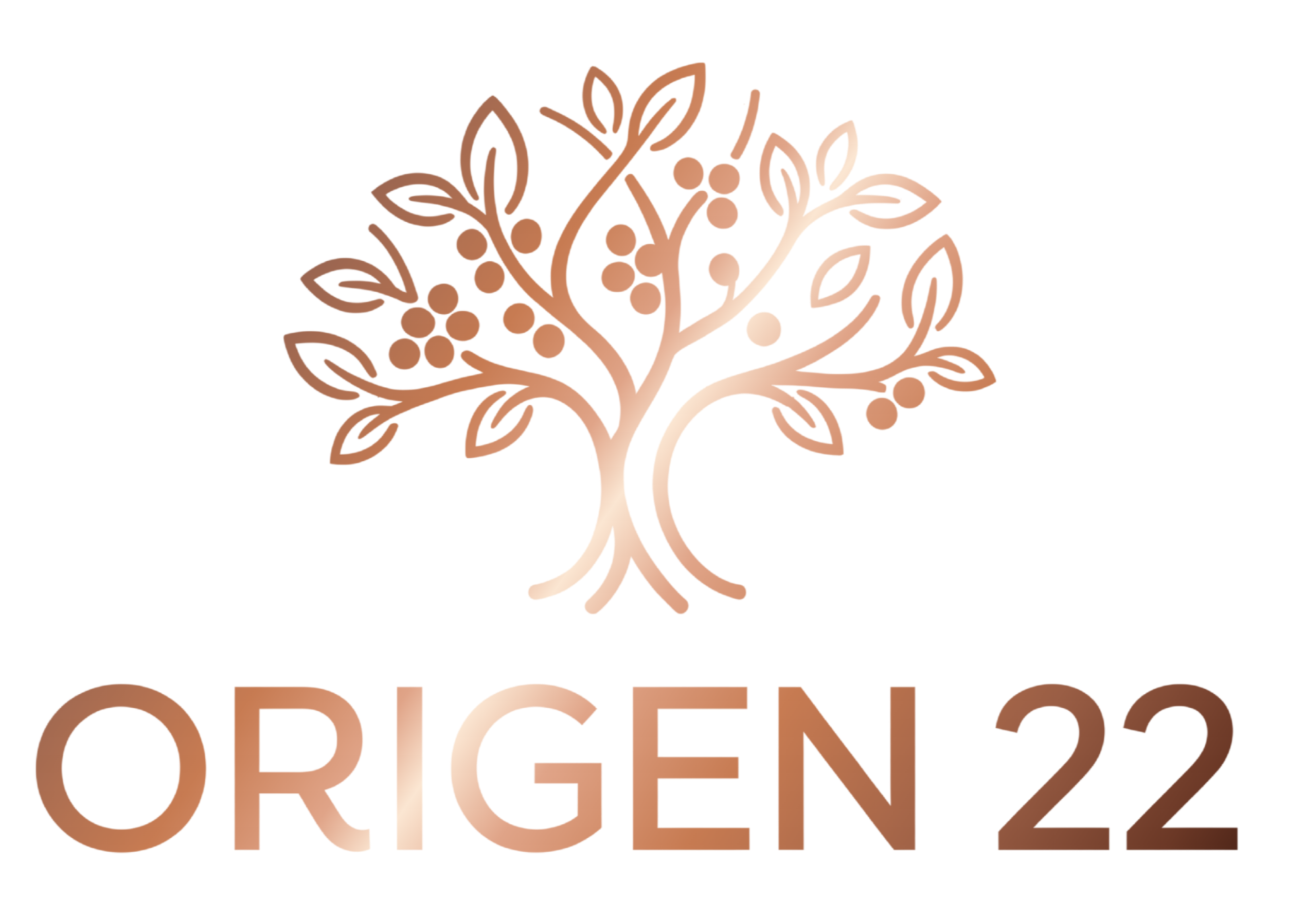 Origen 22